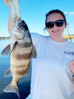 Black Drum Fishing in Biloxi, Mississippi