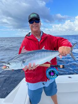 Jack Crevalle Fishing in Jupiter, Florida