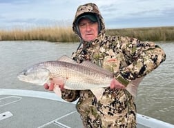 Redfish Fishing in Venice, Louisiana