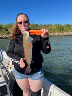 Speckled Trout / Spotted Seatrout Fishing in Galveston, Texas