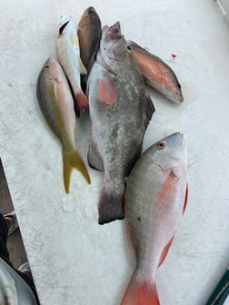 Fishing in Key West, Florida