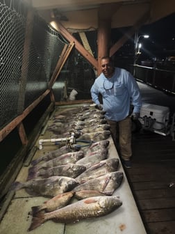 Red Snapper Fishing in Port Isabel, Texas