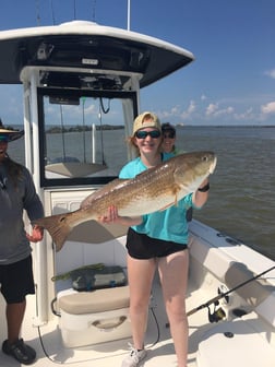 Redfish fishing in Venice, Louisiana