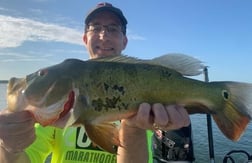 Largemouth Bass Fishing in Palmetto Bay, Florida