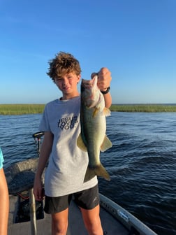 Largemouth Bass fishing in Lake Okeechobee, Florida