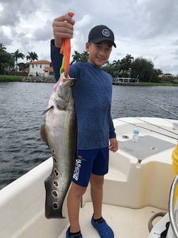 Fishing in Delray Beach, Florida