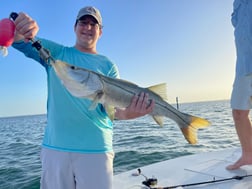 Redfish Fishing in Sarasota, Florida