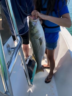 Striped Bass fishing in Burnet, Texas