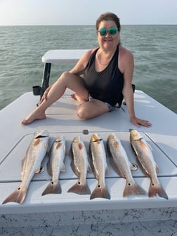 Speckled Trout Fishing in South Padre Island, Texas