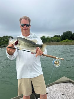 Striped Bass Fishing in Graford, Texas