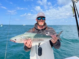 Bonito Fishing in Beaufort, North Carolina