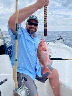 Vermillion Snapper Fishing in Destin, Florida