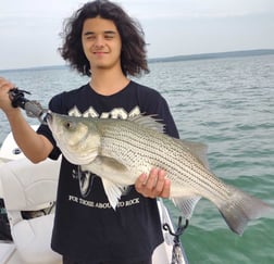 Hybrid Striped Bass Fishing in Runaway Bay, Texas