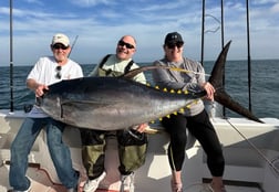 Yellowfin Tuna Fishing in Boothville-Venice, Louisiana