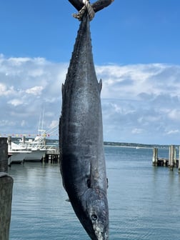 Flounder fishing in Montauk, Suffolk County