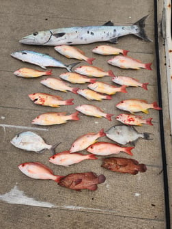 Fishing in Port Orange, Florida