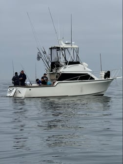 Fishing in Los Angeles, California