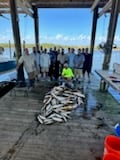 Black Drum, Redfish, Speckled Trout Fishing in Delacroix, Louisiana