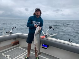 Atlantic Salmon fishing in St. Joseph, Michigan