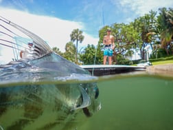 African Pompano fishing in Palm Beach, Florida