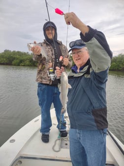 Redfish Fishing in Oak Hill, Florida