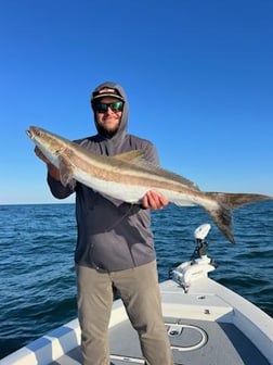 Kingfish Fishing in St. Petersburg, Florida