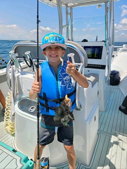 Black Seabass Fishing in Stone Harbor, New Jersey