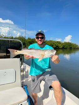 Snook Fishing in Naples, Florida