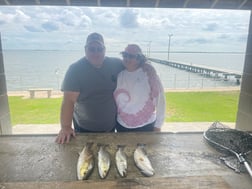 Black Drum, Flounder, Redfish, Speckled Trout Fishing in Palacios, Texas