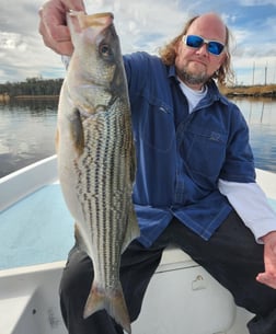 Striped Bass Fishing in Trails End Road, Wilmington, N, North Carolina