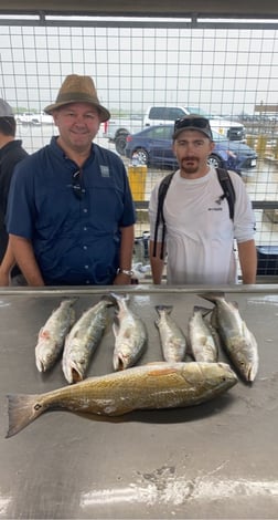 Flounder, Redfish fishing in Matagorda, Texas