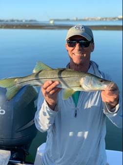 Snook Fishing in Sarasota, Florida