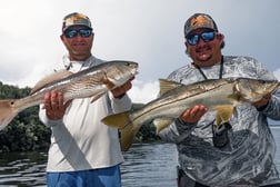 Snook Fishing in Crystal River, Florida