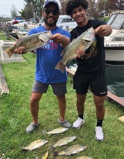 Largemouth Bass, Peacock Bass fishing in Port Sanilac, Michigan