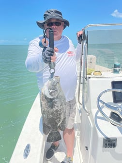 Tripletail Fishing in Chokoloskee, Florida