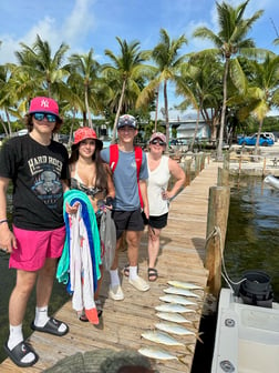 Triggerfish, Yellowtail Snapper Fishing in Key Largo, Florida