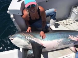 Thresher Shark Fishing in Freeport, New York, USA