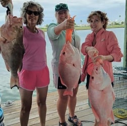 Red Grouper fishing in Clearwater, Florida