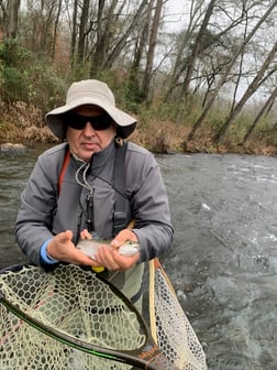 Rainbow Trout Fishing in Broken Bow, Oklahoma