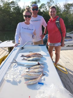 Fishing in Fort Myers Beach, Florida