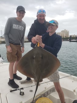 Stingray Fishing in New Smyrna Beach, Florida