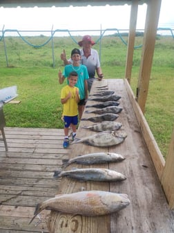 Fishing in Dickinson, Texas