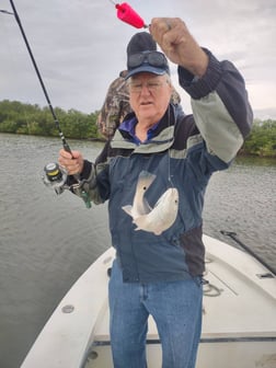 Redfish Fishing in Oak Hill, Florida