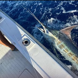 Fishing in Kailua-Kona, Hawaii