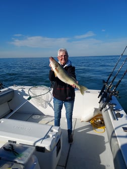 Walleye Fishing in Lakeside Marblehead, Ohio