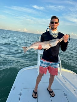 Speckled Trout Fishing in South Padre Island, Texas