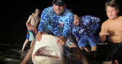 Tiger Shark fishing in Corpus Christi, Texas