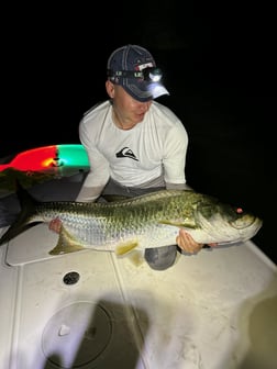 Tarpon Fishing in San Juan, Puerto Rico