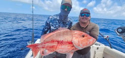 Fishing in Clearwater, Florida