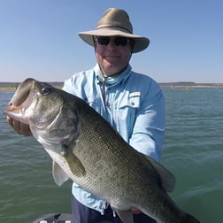 Largemouth Bass Fishing in Austin, Texas